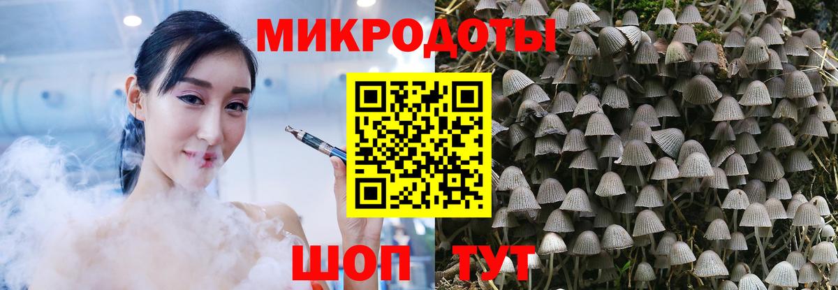 хочу   Псилоцибиновые грибы Psilocybine cubensis  Вход с VPN  Ирбит  Псилоцибиновые грибы прущие грибы 