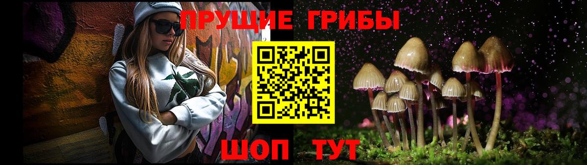 Псилоцибиновые грибы Cubensis Ирбит